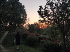 -艾溪湖湿地公园