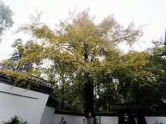 -成都杜甫草堂博物馆