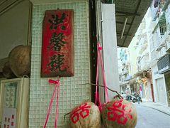 -洪馨椰子