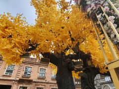 -中华巴洛克风情街