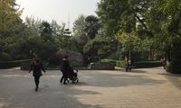 -莲湖公园