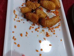 -了能菜·传统特色粤菜·虫宴