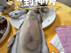 -蚝专家(北滘店)