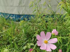 -敕勒川草原文化旅游区