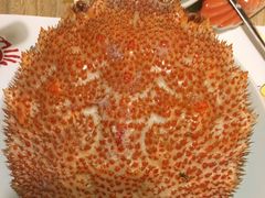 -蟹田居·活蟹料理(东城店)