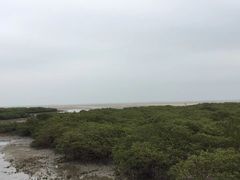 -北海金海湾红树林生态旅游区