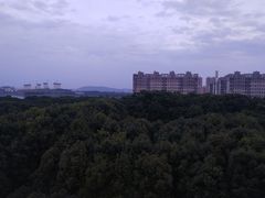 -武汉交通职业学院