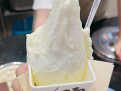 -野人先生现做冰淇淋(西安赛格店)