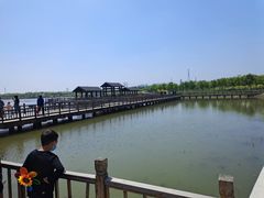 -天津东丽湖风景区