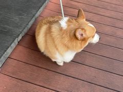 -柳莺湖上·湖景餐厅·江南菜(西湖店)