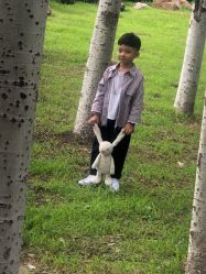 -贝克叔叔儿童摄影工作室(天时嘉园店)