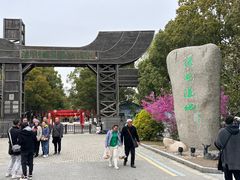 -溱湖国家湿地公园