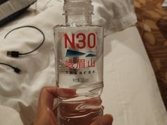 -峨眉山世纪阳光大酒店(峨眉高铁站店)