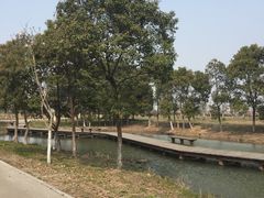 -梁鸿国家湿地公园