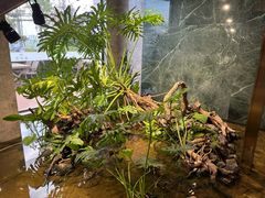 -宴周康·精致江浙菜(周浦店)