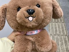 -快乐街区(成都龙湖北城天街店)