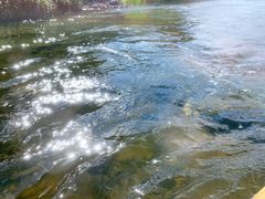 -千岛湖九龙溪漂流