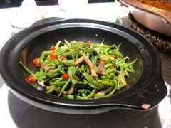 -雲蜀龙阁·金牌水煮鱼(方庄店)