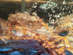 -徐记海鲜(大雁塔|金都店)