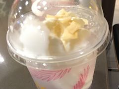 椰子水饮-麦当劳(曲阳店)