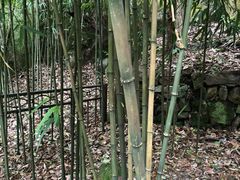 -杭州黄龙洞