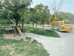 -上海野生动物园