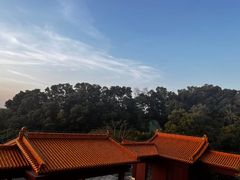 -深圳仙湖植物园