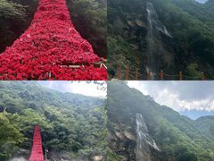 -少华山国家森林公园