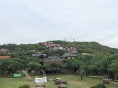 -杨梅坑