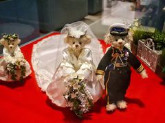 -济州岛泰迪熊博物馆