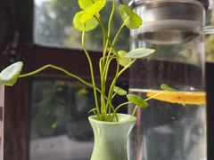 -野蔓果·山野菜(西湖景区·龙井茶田店)