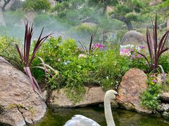 -罗红摄影艺术馆