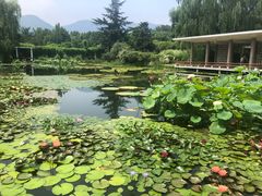 -国家植物园南园