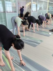 -爱尔乐美孕产瑜伽·普拉提