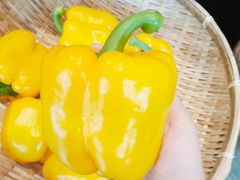 -千稻剁椒大鱼头(CityOn熙地港店)