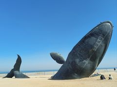 -烟台金沙滩海滨公园