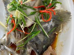 清蒸石斑鱼-众味海鲜大排档·活海鲜·潮汕味(南澳店)