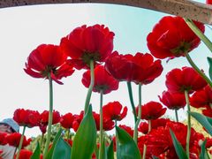 -玄武湖景区-情侣园游乐场