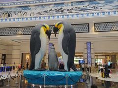 -帝企鹅自助餐厅•儿童岛•真企鹅(长隆企鹅酒店)