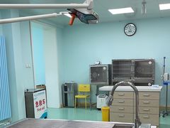 -北京观赏动物医院·24小时大型综合·猫专科·异宠专科