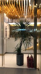 -3AM·S HAIR SALON烫发染发接发
