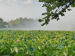 -云龙湖旅游景区