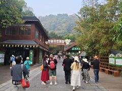 -野象谷景区