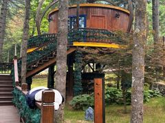 -洛阳白云山景区