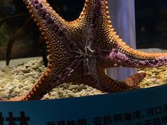 -北京海洋馆