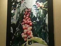 -星巴克臻选(威海威高广场店)