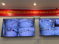 -中央芭蕾舞团·中芭艺蕾(酒仙桥明星校区)