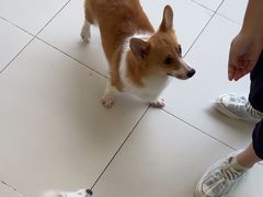 -怪兽屋·羊驼·猫咖·狗咖(俊华广场店)