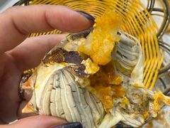 -蟹天蟹地农家菜·阳澄湖大闸蟹(浅水湾店)