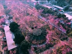 -昆明动物园
